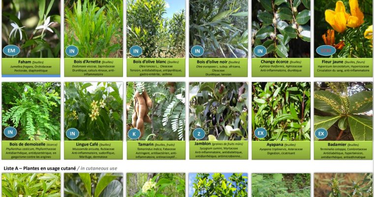 Plantes médicinales de La Réunion inscrites à la Pharmacopée Française
