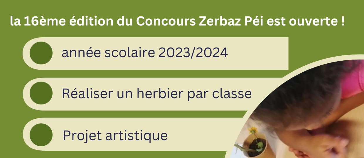 Concours Zerbaz Péi 2024